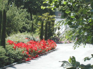 Fiori di Flora ha progettato questo splendido giardino di ingresso ad Udine